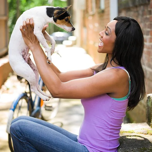  black min pin chihuahua mix Health and Lifespan