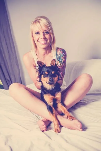  chihuahua and yorkie mix Indulge Tasty