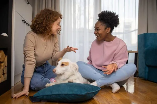  chihuahua and yorkie mixed Real-Life Stories of Chihuahua Yorkie Mixes