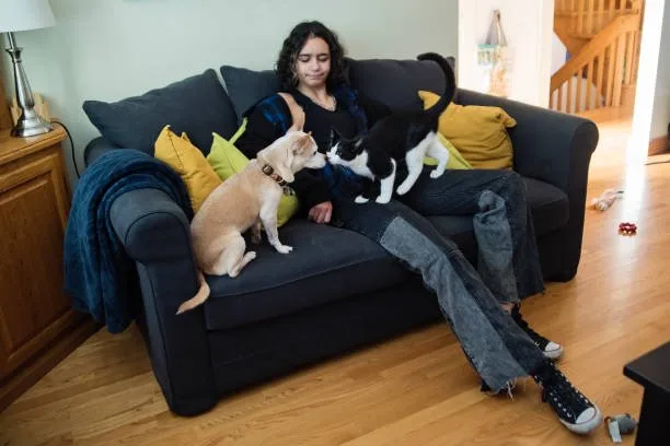  chihuahua and yorkie mixed The Path to Responsible Chorkie Ownership