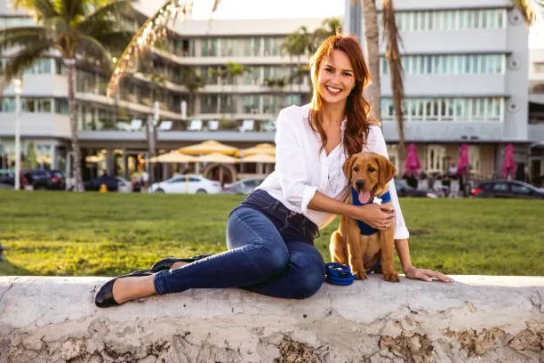 chihuahua mixed with a poodle Exercise and Activity Needs