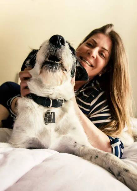  chihuahua mixed with french bulldog Diet and Nutrition
