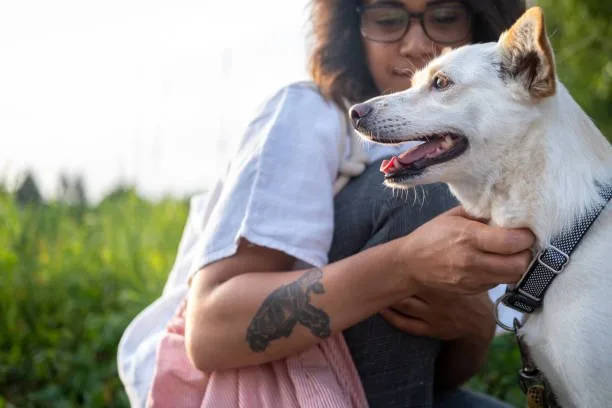  chihuahua mixed with golden retriever Ethical Considerations in Crossbreeding: The Debate Over Designer Dogs