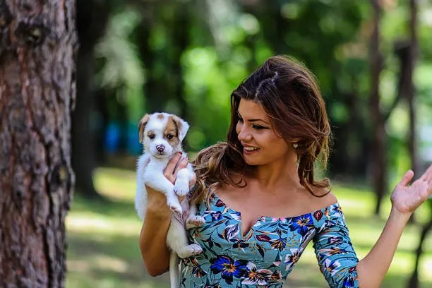  chihuahua papillon mix puppies Health and Lifestyle Considerations for Prospective Owners