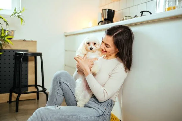  chihuahua poodle mix Conclusion: Is the Chipoo the Right Pet for You?