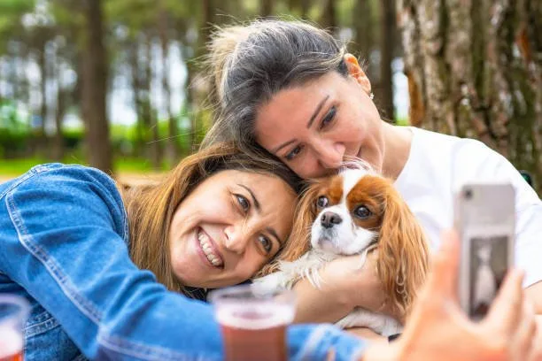 chihuahua yorkie poo mix Sample Invigorating