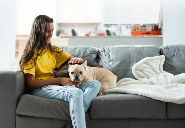 french bulldog mixed with chihuahua Health Considerations