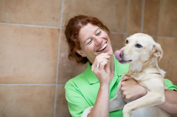  golden retriever mix with chihuahua Temperament and Behavior