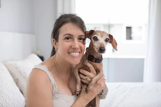italian greyhound mix with chihuahua The Art of Caring for Miniature Companions: Grooming, Exercise, and Socialization