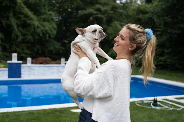 maltese and chihuahua mixed Training and Exercise Needs