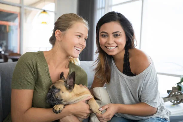 miniature doberman pinscher mixed chihuahua Essential Needs for the Chipin Dog