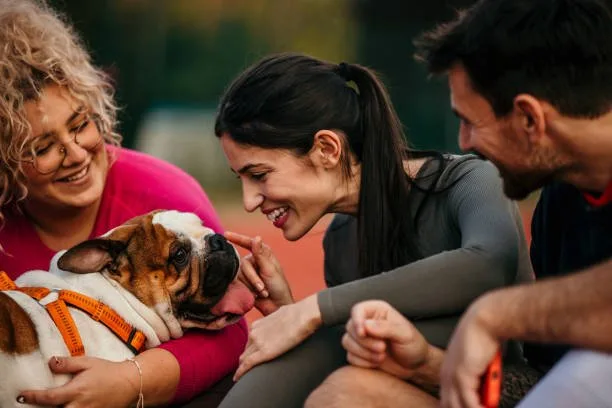  miniature doberman pinscher mixed with chihuahua Training and Socialization