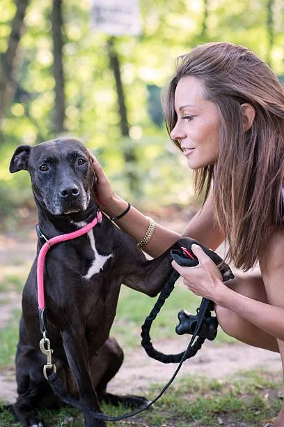  miniature doberman pinscher mixed with chihuahua Exercise and Activity Needs
