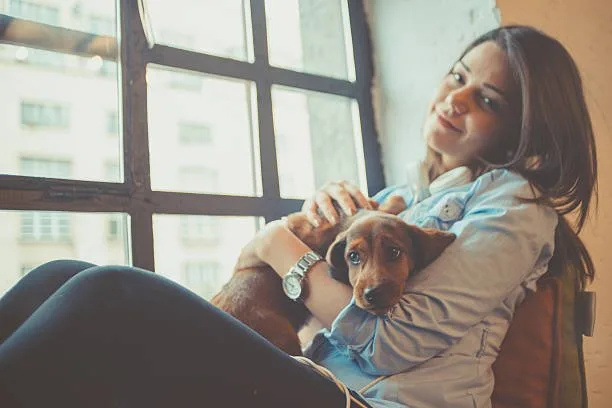 pit bull mixed with chihuahua Exercise and Activity Levels