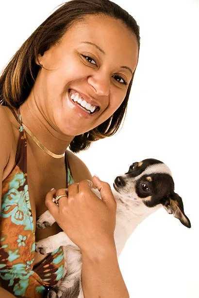 pit bull mixed with chihuahua Understanding Pitbull Chihuahua Mix Genetics
