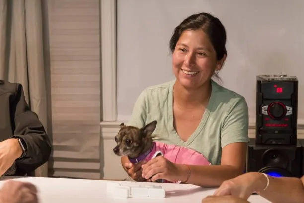  pit mix with chihuahua Health and Lifespan