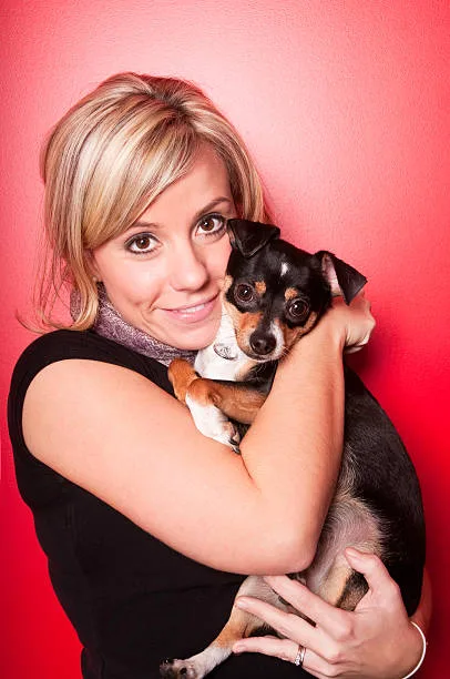  pit mix with chihuahua Adoption and Rescue Options