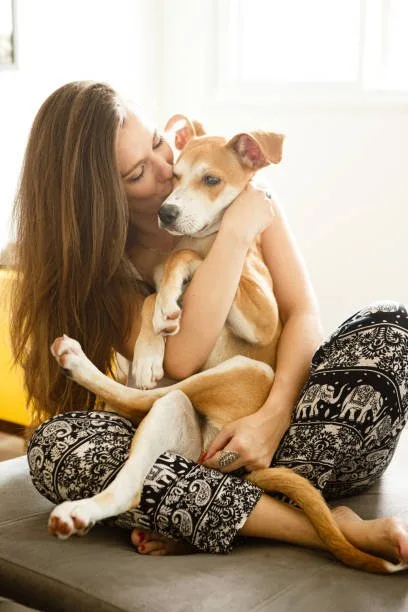  pit mixed with chihuahua Health and Care Concerns for Chipit Dogs