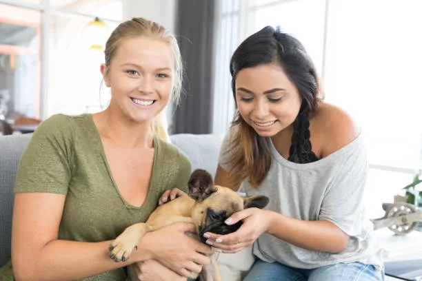 pug and chihuahua mixed Explore Sensual