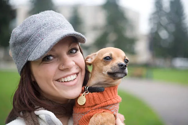 pug dachshund chihuahua mix Relish Mouthwatering