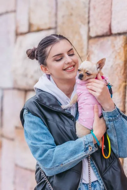 yorkie poo and chihuahua mix Adoption and Ongoing Care Considerations