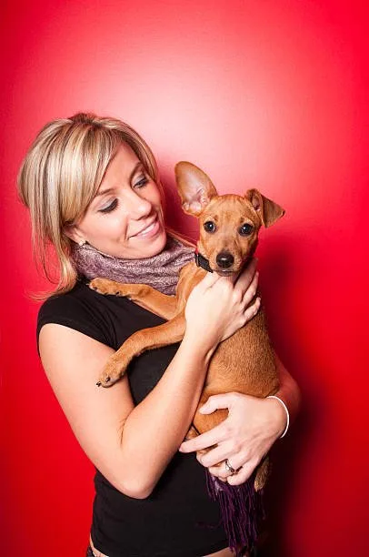 yorkie poo and chihuahua mix Maintenance & Lifestyle Adaptations