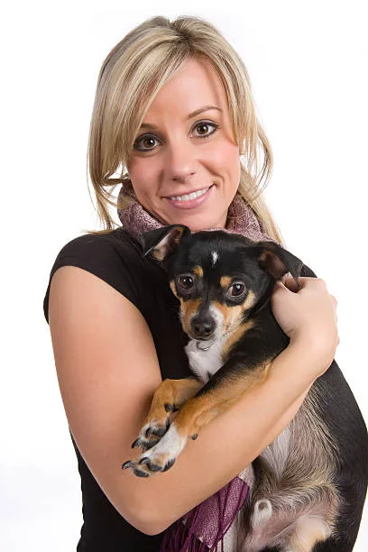 border collie chihuahua mix name Unique Characteristics of Border Collie Chihuahua Mix