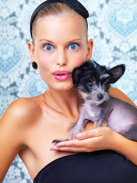 chihuahua and mini doberman mix Health and Lifespan