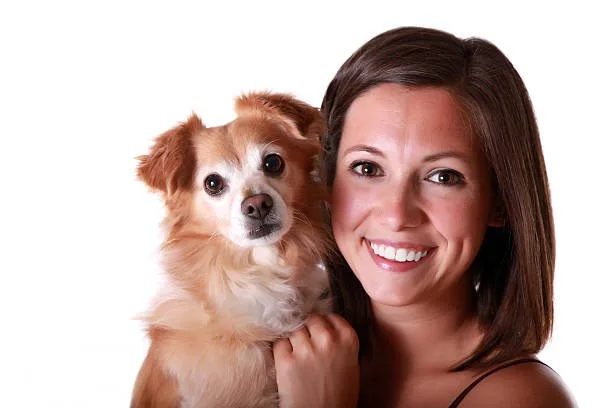  chihuahua and weiner dog mix Character Traits of the Mix