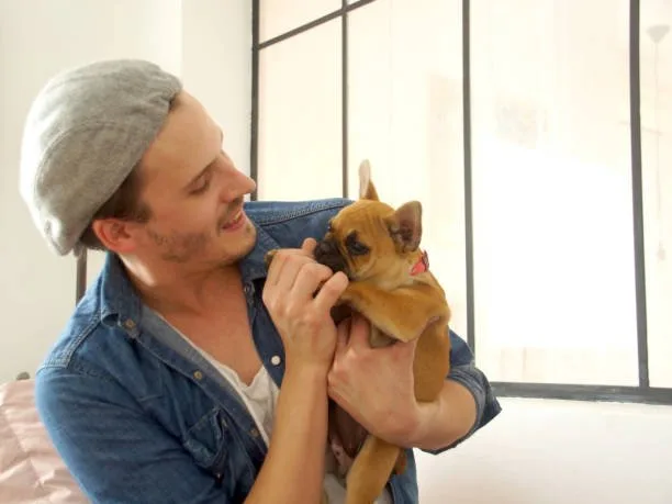 chihuahua mix with pekingese Adoption Tips