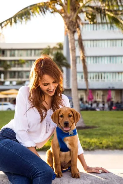  chihuahua mixed weiner dog Health and Lifespan