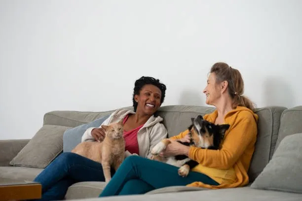 chihuahua mixed with border collie Grooming and Care: Maintaining a Mixed-Breed Coat