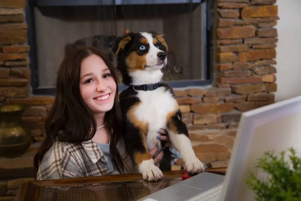 cocker spaniel mixed chihuahua Exercise and Activity Needs