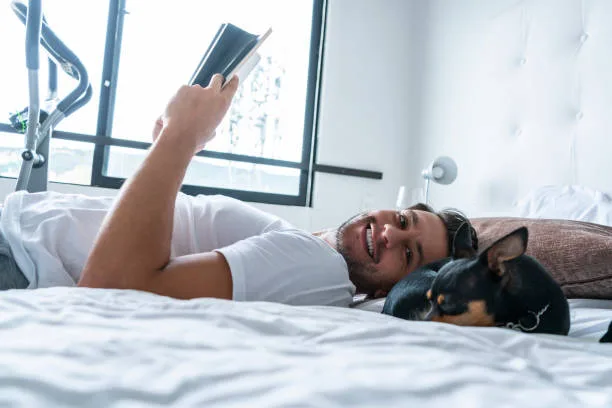 doberman mixed with chihuahua Navigating the Health and Training of Mixed-Breed Dogs
