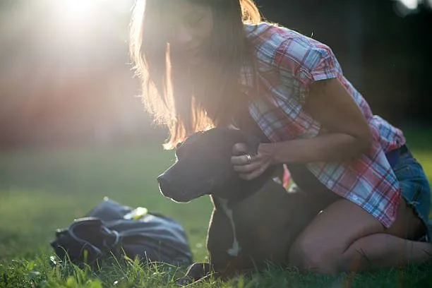 doberman mixed with chihuahua Health and Lifespan