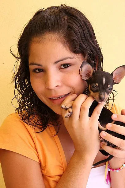  doberman pinscher and chihuahua mix Designer Dog Dynamics