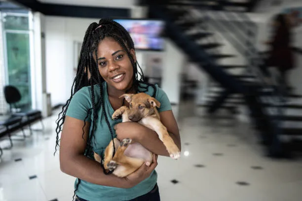 mini doberman mixed with chihuahua Diet and Nutrition