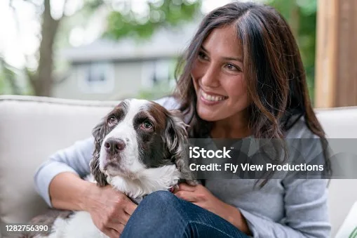mini doberman mixed with chihuahua Adoption Considerations