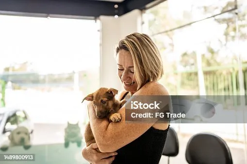 mini doberman pinscher mixed with chihuahua Living Arrangements