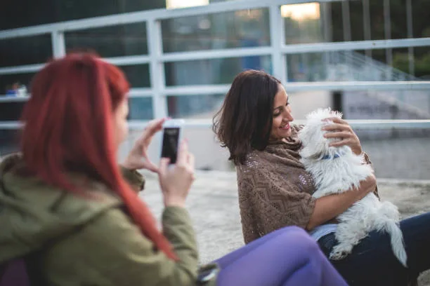 mini doberman pinscher mixed with chihuahua Health and Wellness in Chi-Pins