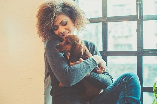 miniature doberman mixed with chihuahua Exercise Needs