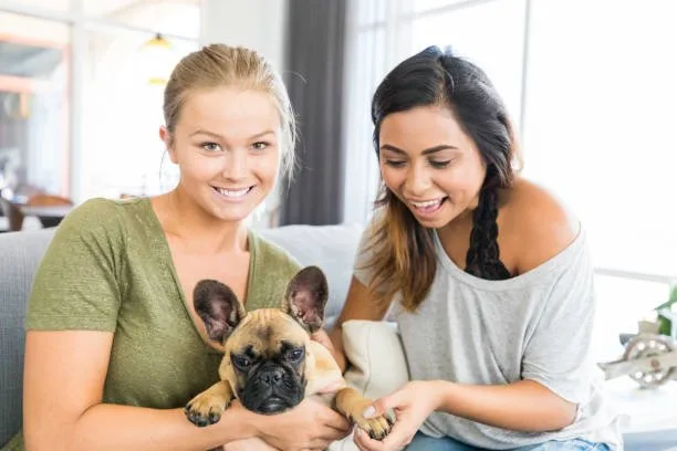  miniature doberman pinscher mixed with chihuahua Health and Lifespan