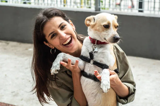 schnauzer mixed with chihuahua The Chi-Schnauzer: An Emerging Favorite Among Designer Dogs