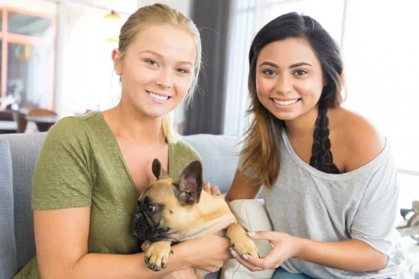 weiner dog mixed with chihuahua Health and Wellness in the Mixed Breed Companion