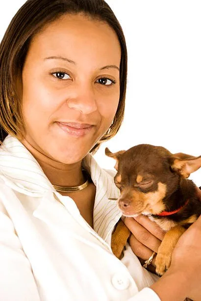 weiner dog mixed with chihuahua Personality Traits